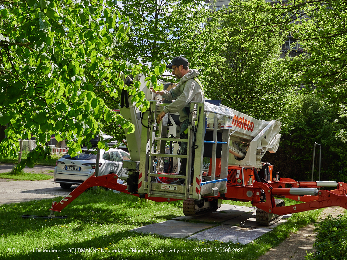 09.05.2023 - Graffiti von Peeta in Neuperlach